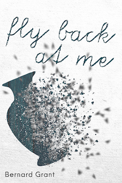 Fly Back At Me by Bernard Grant