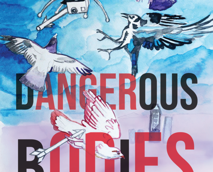 Cover image for Dangerous Bodies / Anger Odes by stevie redwood