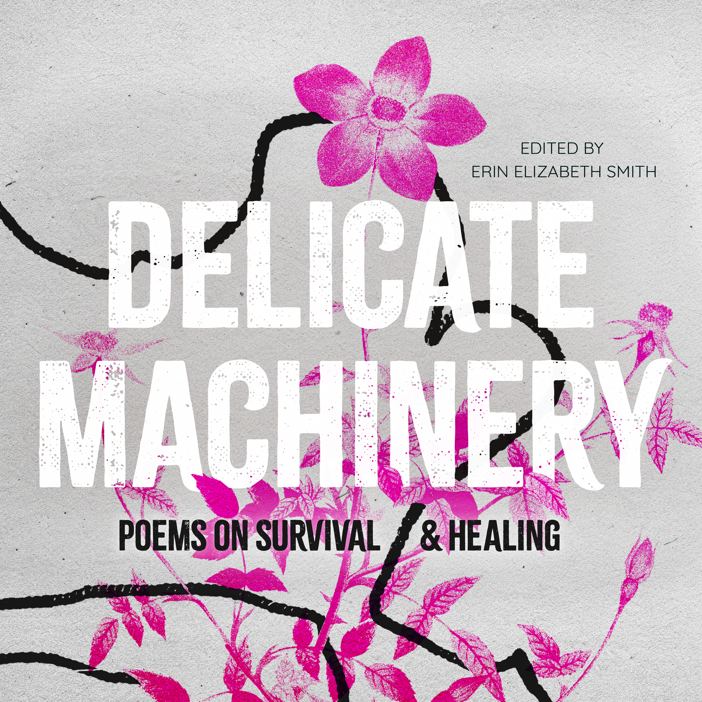 Delicate Machinery: Poems on Survival & Healing, edited by Erin Elizabeth Smith