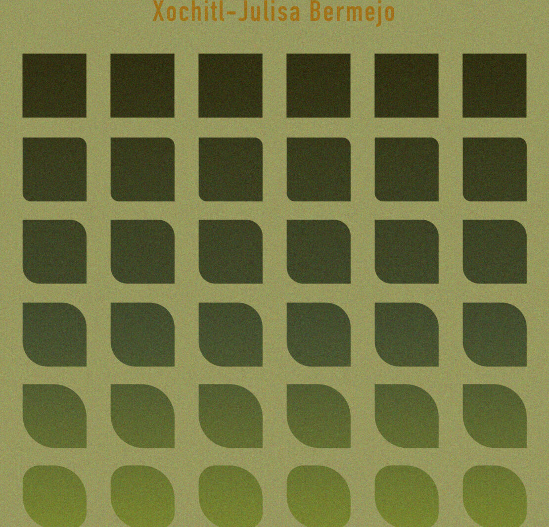 Craft Chaps: An Interview with Fear by Xochitl-Julisa Bermejo