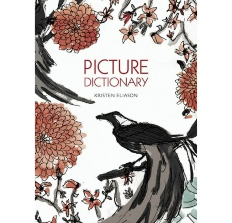 Picture Dictionary by Kristen Eliason