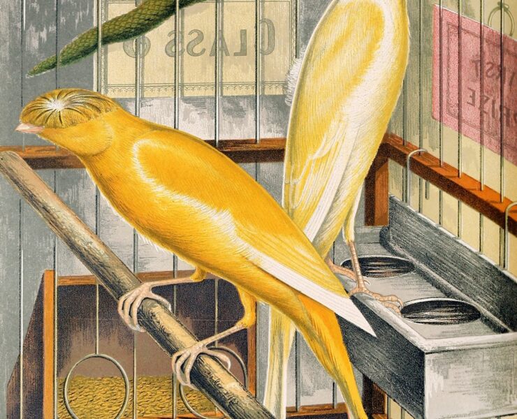 Painting of two yellow birds in a cage