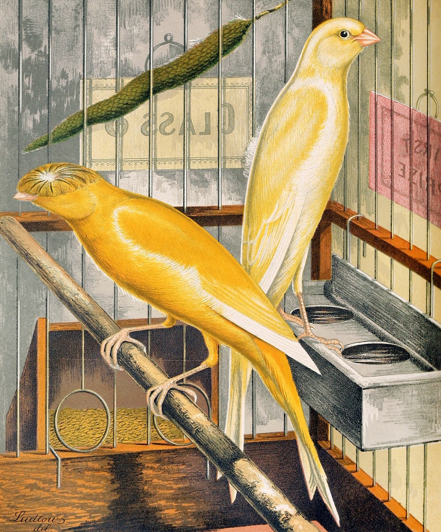 Painting of two yellow birds in a cage