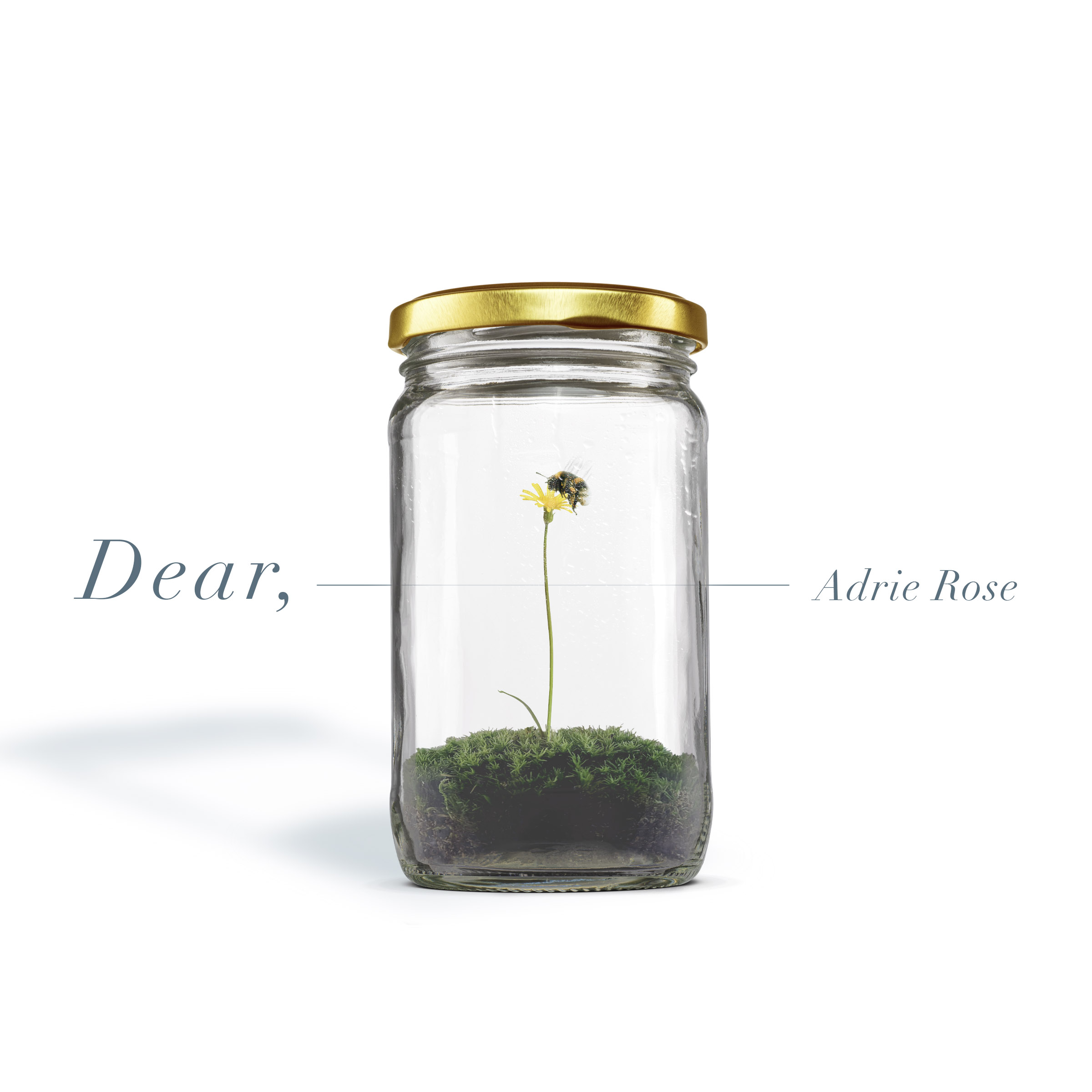 dear by Adrie Rose
